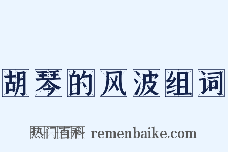 胡琴的风波组词是什么意思的图片